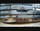 トレイルカメラで雀撮ってみた　20210422