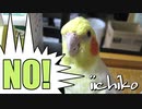 主従関係？何ソレ？（しっかり「NO!」の意思表示！）