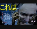 【PS4/レイス】