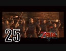 【ゼルダの伝説トワプリ】ハイラルの兵士たち（クソざこ）【PART25】