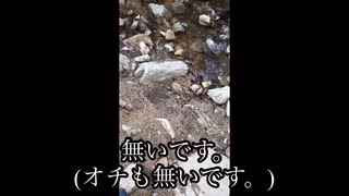 【いんキャン】陰キャが森を疾走するだけの動画。