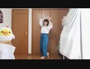 【めるでぃ】神のまにまに 踊ってみた
