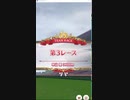 【ウマ娘】長距離ミホノブルンボルン【チーム戦】