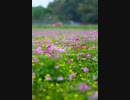 今後の活動について