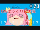 【ゆっくり？】Overwatchタンク実況プレイ　＃23【biim兄貴リスペクト】