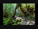 オリジナル曲／Träumerei
