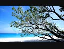 【自然音】海・波の音・自律神経を調整（勉強※ 安眠※ 瞑想用※ ASMR）リラックスしながら超集中する脳波（mid-α波）で心身浄化