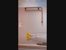 TikTok 踊ってみた
