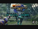 【MHRise】無能な新米ハンターと使えない先輩ハンターが行くわちゃわちゃ化け物狩り道中日記①～因果狸と唐揚げドラゴン編～【実況動画】【モンハンライズ】