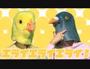 エライエライエライ！/うおへー(cover)