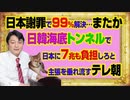 #999 日本が謝罪をすれば９９パーセントは解決…またか。日韓海底トンネルで日本が7兆も負担しろを垂れ流す「ワイドスクランブル」｜みやわきチャンネル（仮）#1149Restart999