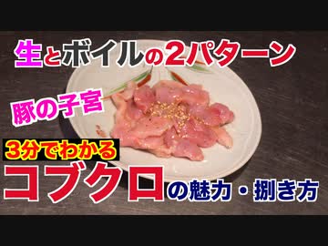【コリコリ界代表】豚のコブクロの魅力・捌き方