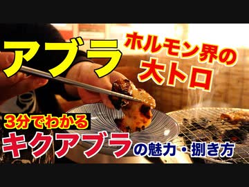 【アブラ好き必見】ホルモン界の大トロ「キクアブラ」の魅力
