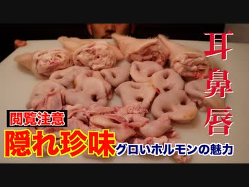 【閲覧注意】グロいけど美味い!!絶品ホルモンを紹介