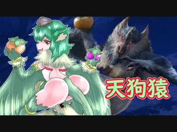 【ＭＨR】ゆっくりだべるモンスターハンターrice【第三膳　ビシュテンゴ編】