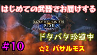 【MHRise】#10 はじめての武器でお届けするドタバタ珍道中 【☆2 バサルモス】