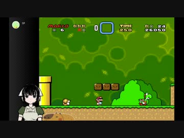 SUPER MARIO WARLDをプレイしました。　京町