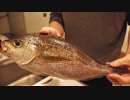 【バター焼き】イサキを三枚におろして料理する【料理vlog#63】