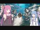 【VALHEIM】そうだ、ヴァイキングになろう その７【VOICEROID実況プレイ】