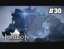 【ホライゾンゼロドーン】シャーマンの道#30(実況動画)