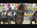 【競馬】ゆっくりさんと未来に語り継ぎたい名馬たち その015【ゆっくり朗読】