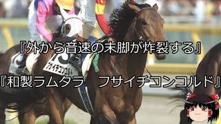 【競馬】ゆっくりさんと未来に語り継ぎたい名馬たち その015【ゆっくり朗読】