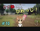 【Medieval dynasty】ささねちゃんびれっじ！１０【ボイチェビ実況】