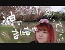 【深山かい】神のまにまに　踊ってみた