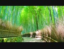 【自作曲】螺旋 feat.AIきりたん