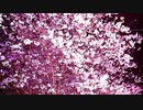 花涙/小春六花 AI lite