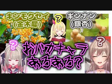 キンモクセイと銀杏を別々に勘違いしていたりりむとフレン+星川【フードデリバリーサービス/にじさんじ/切り抜き】