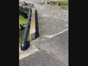 拡張橋