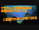 クラッシュ、中国語の男性と会話出来ずスルーする【タートルトーク】東京ディズニーシー