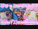 キラッとプリチャン～おすぬいマスコットの日常223★～