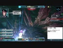 【PSO2】ガンスラ+剣で憎悪の闇(Teバフ使用)　～最後のお祭り騒ぎ～【原初の闇】