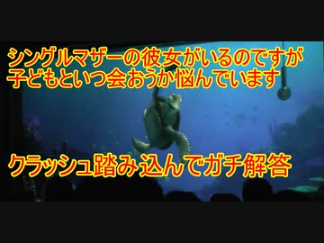 人気の タートルトーク 動画 269本 ニコニコ動画