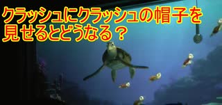 人気の タートルトーク 動画 269本 ニコニコ動画