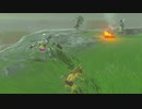 依頼を受けて、ムズリを走って逃げださせてみた