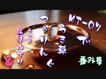 【生存】番外草 世界一要らない【報告】