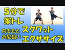 【家トレ】５分で出来るシェイプアップスクワットエクササイズ【5-minute Shape-up Squat Exercise】