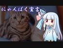 にゃんぱく宣言