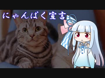 にゃんぱく宣言