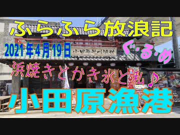 ふらふら放浪記プチ（小田原漁港)in2021年4月19日