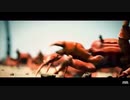 【疑似m@s】ゴソッとCrab