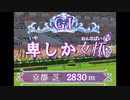 【ウマ娘】GⅠ　卑しか女杯　