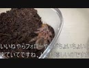 [希少な脱皮シーンの次の日]タランチュラ飼育日記その１６３[黒々とした何某]