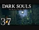 【DARK SOULS REMASTERED】シリーズごと初めてのダークソウルリマスタード part37【実況】