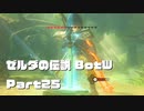 今更始めるゼル伝BotW実況 Part25