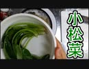 【ヨグルクッキング】小松菜を初めて使う