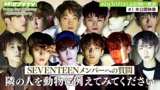 密着!セブチTV #1【未公開映像】隣の人を動物に例えると